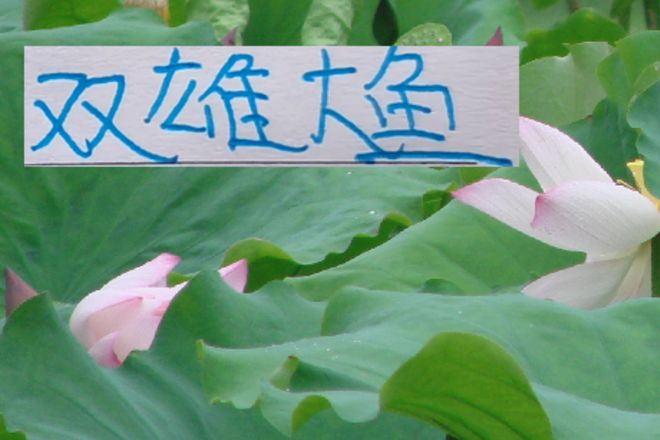 中超冬窗开局：申花拉斐尔·拉唐